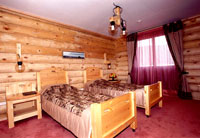 Baikal Terema Hotel - Accommodations in Listvyanka settlement